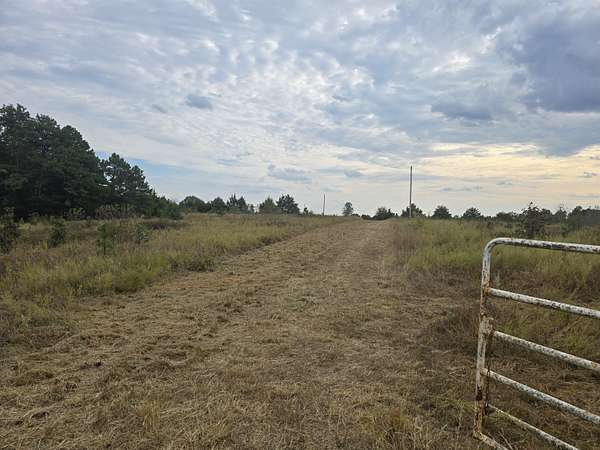163 Acres of Recreational Land for Sale in Raymondville, Missouri