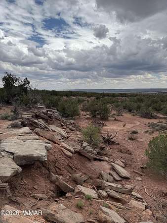 20 Acres of Recreational & Residential Land for Sale in Show Low, Arizona