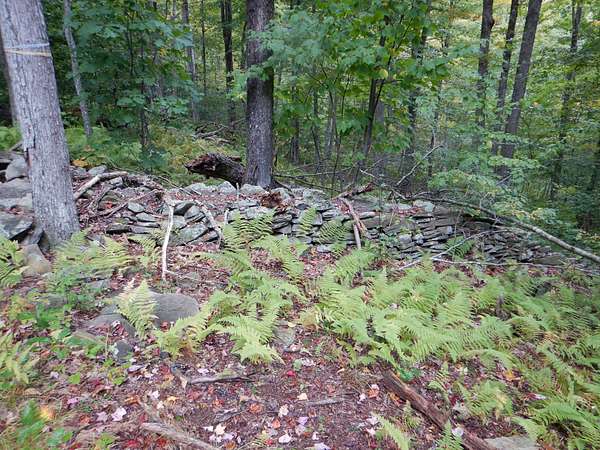 105 Acres of Recreational & Residential Land for Sale in Walton, New York