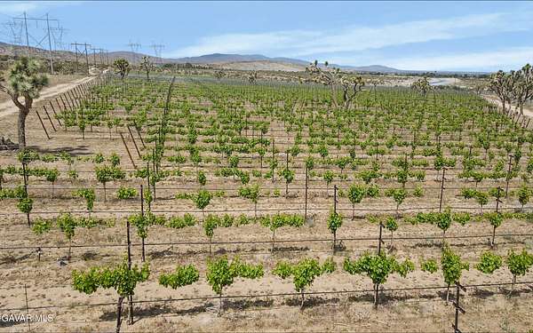 41.2 Acres of Agricultural Land for Sale in Palmdale, California