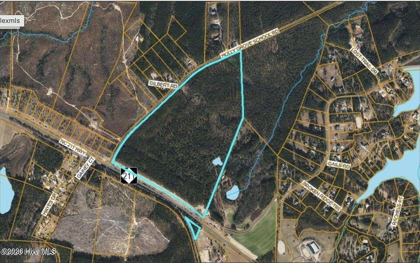 96 Acres of Land for Sale in Seven Lakes, North Carolina
