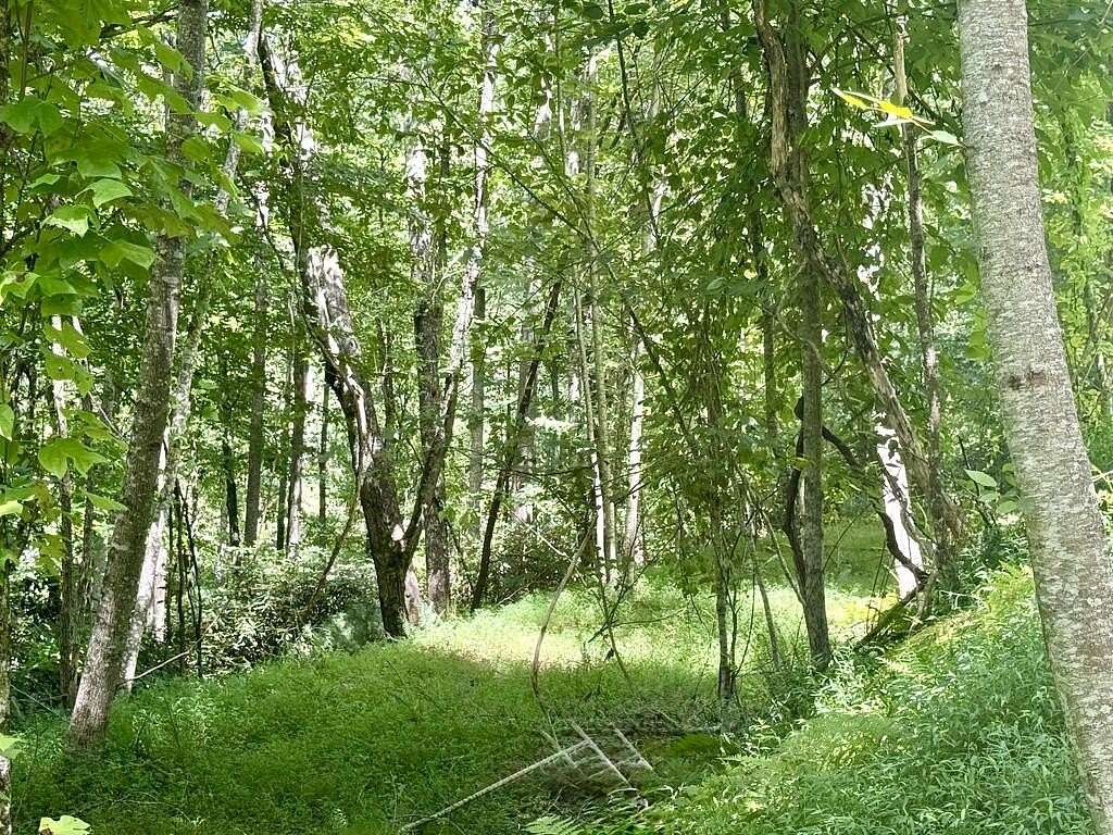 1.25 Acres of Residential Land for Sale in Brasstown, North Carolina