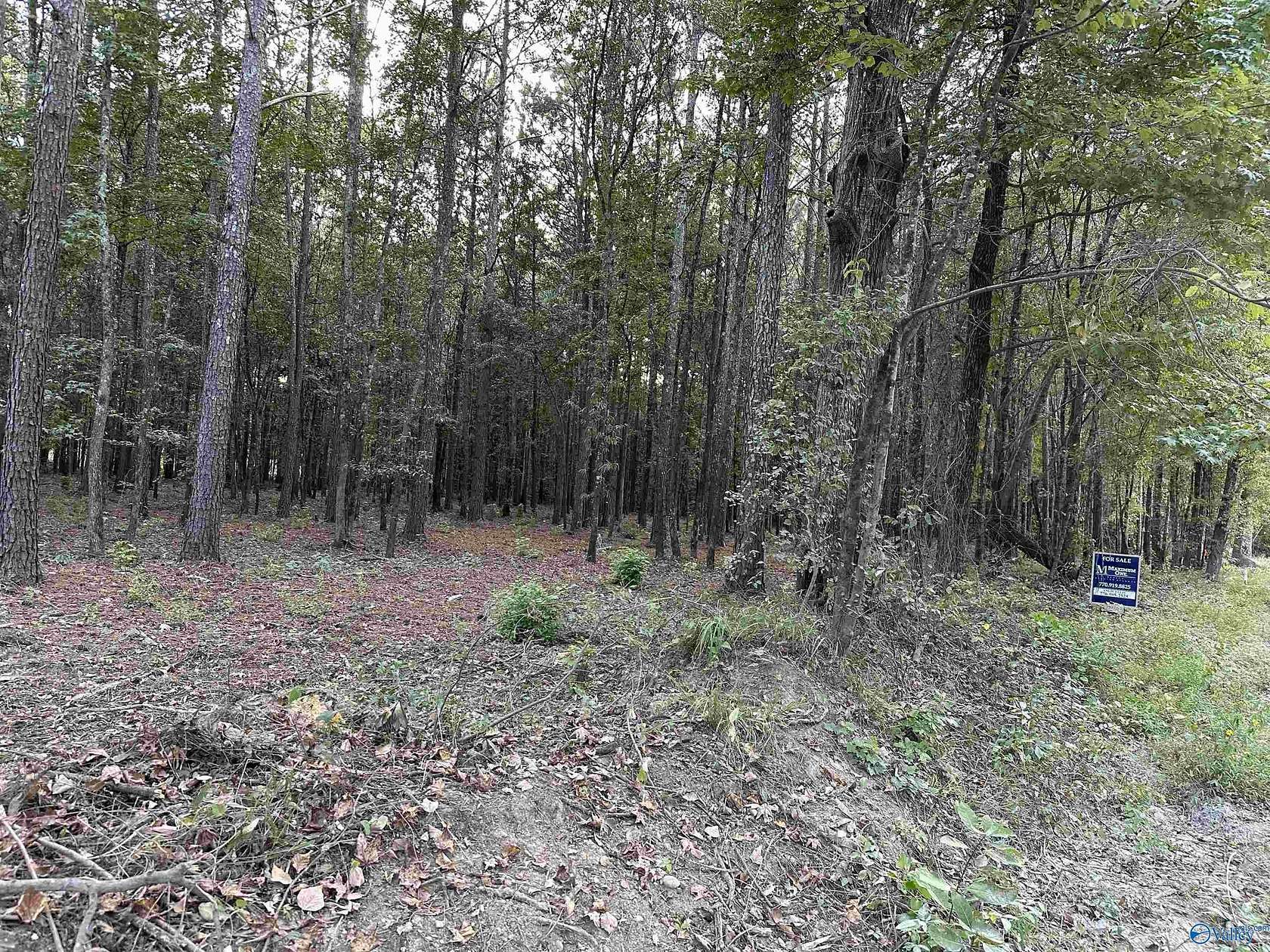 0.5 Acres of Land for Sale in Centre, Alabama