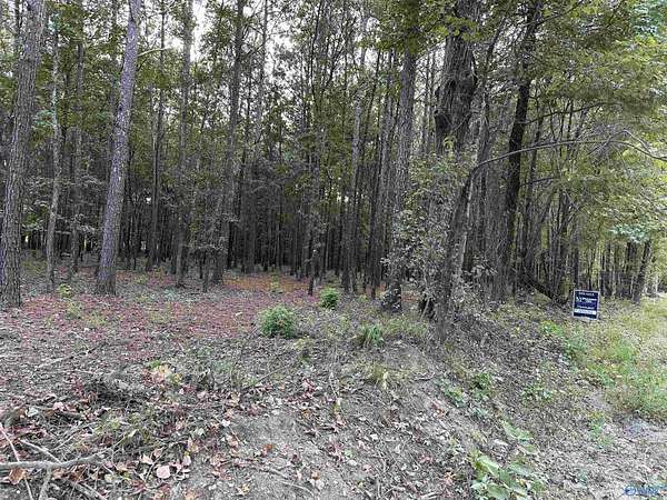 0.5 Acres of Land for Sale in Centre, Alabama