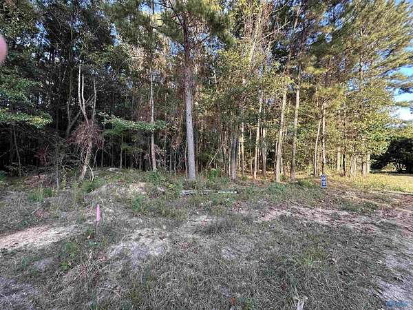 0.41 Acres of Land for Sale in Centre, Alabama
