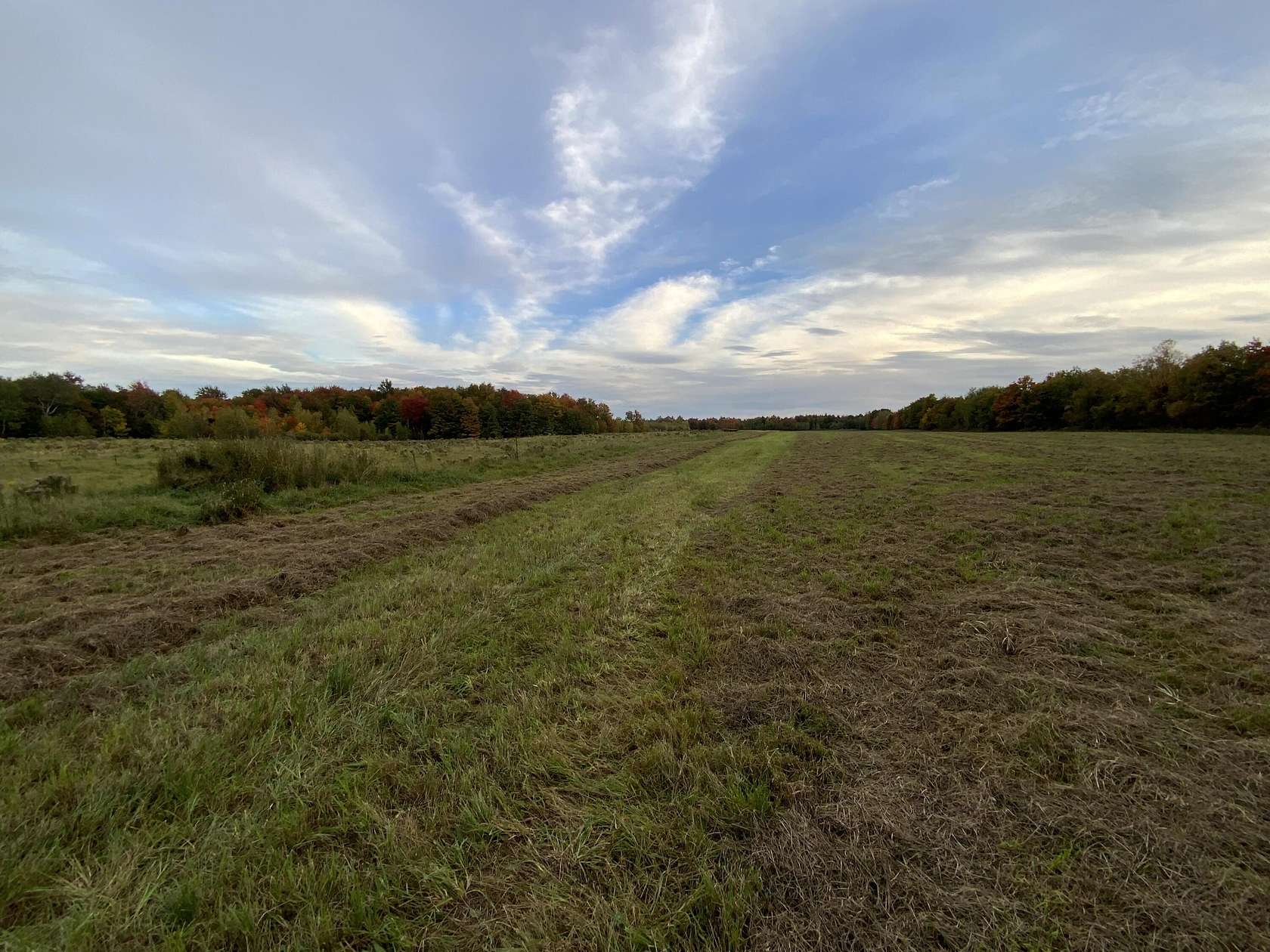 53.4 Acres of Land for Sale in Bangor, New York