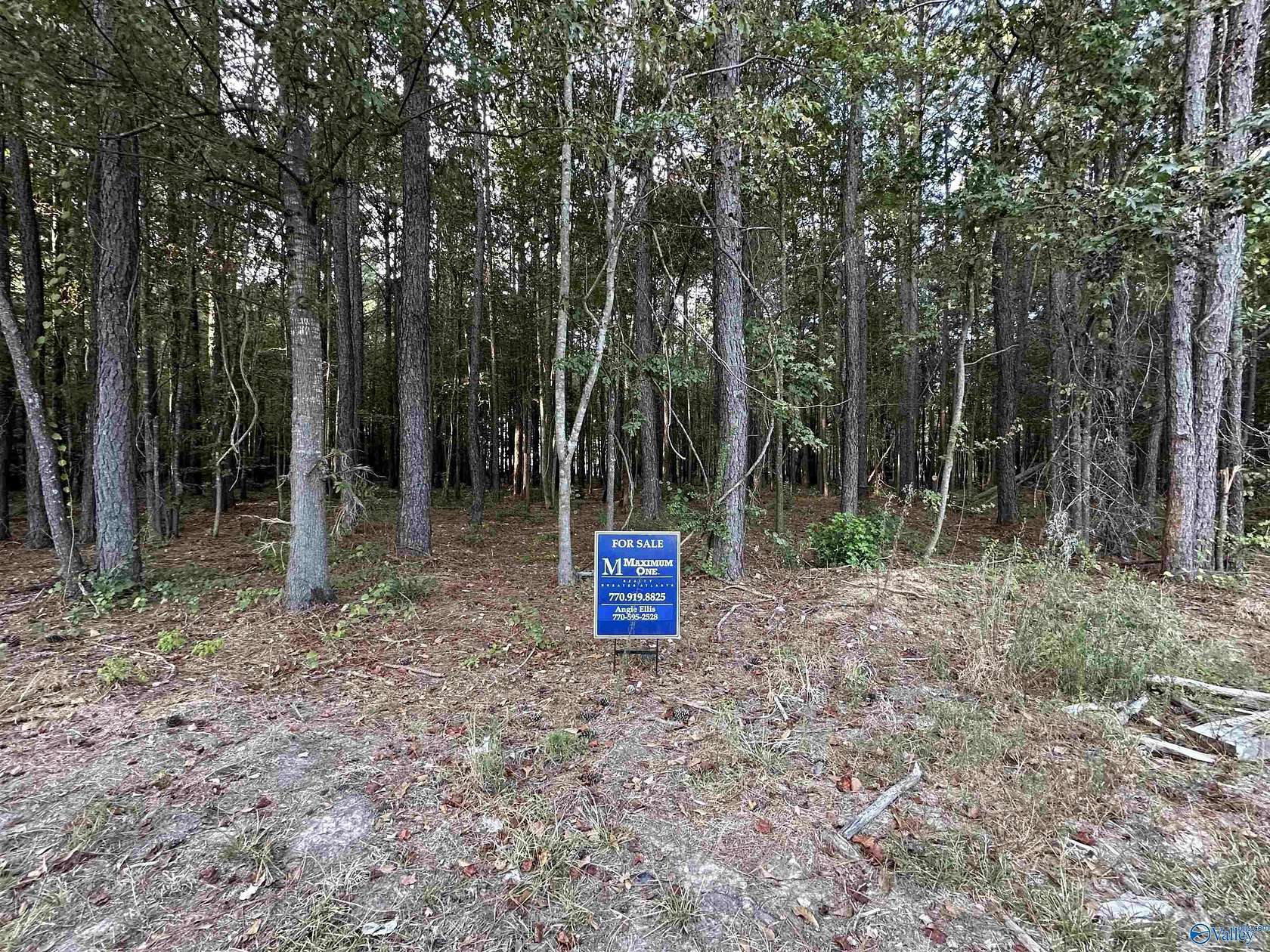 Land for Sale in Centre, Alabama