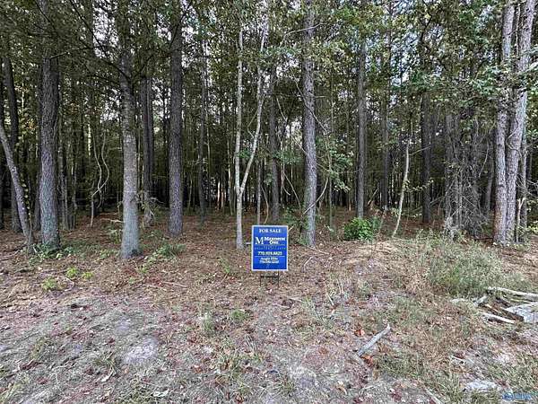 Land for Sale in Centre, Alabama