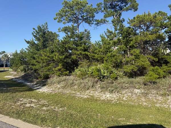 0.29 Acres of Residential Land for Sale in Port St. Joe, Florida