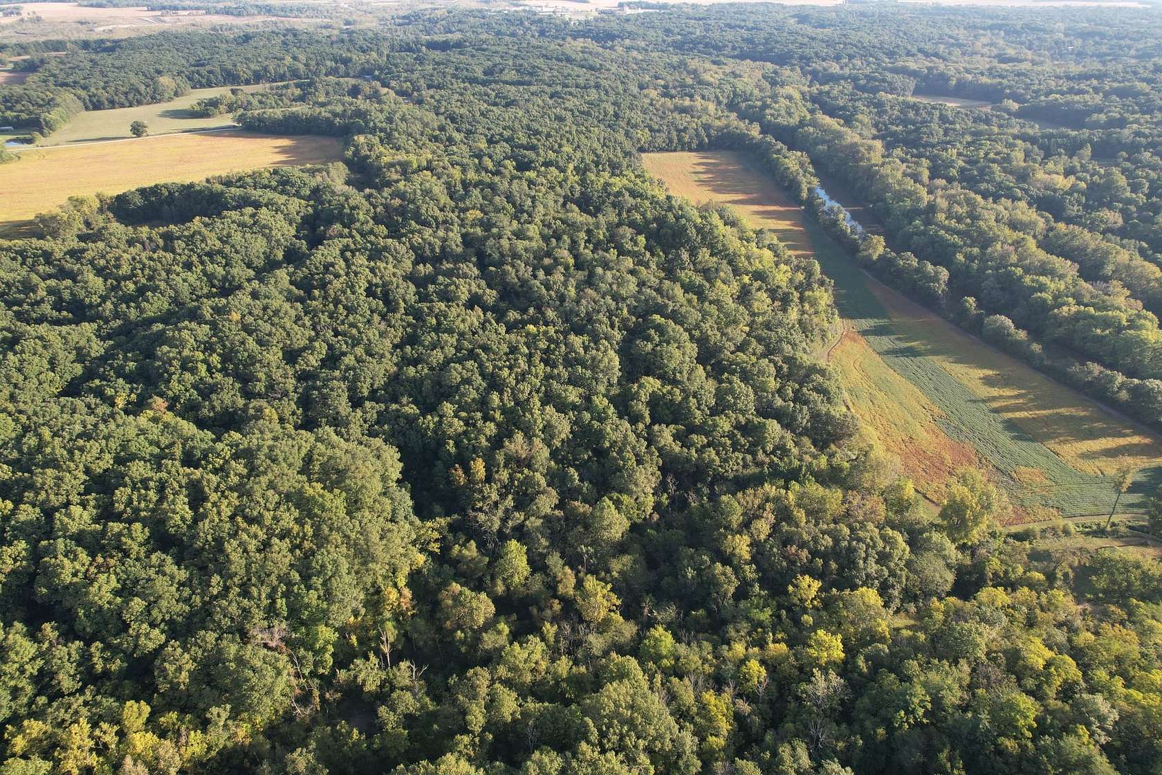 85 Acres of Recreational Land for Sale in Charleston, Illinois