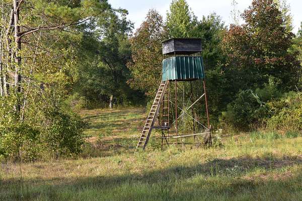 24 Acres of Recreational Land for Sale in Gurdon, Arkansas