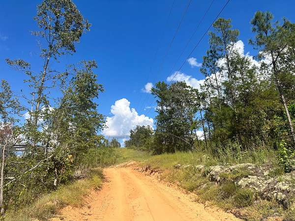 150 Acres of Recreational Land for Sale in Vernon, Alabama