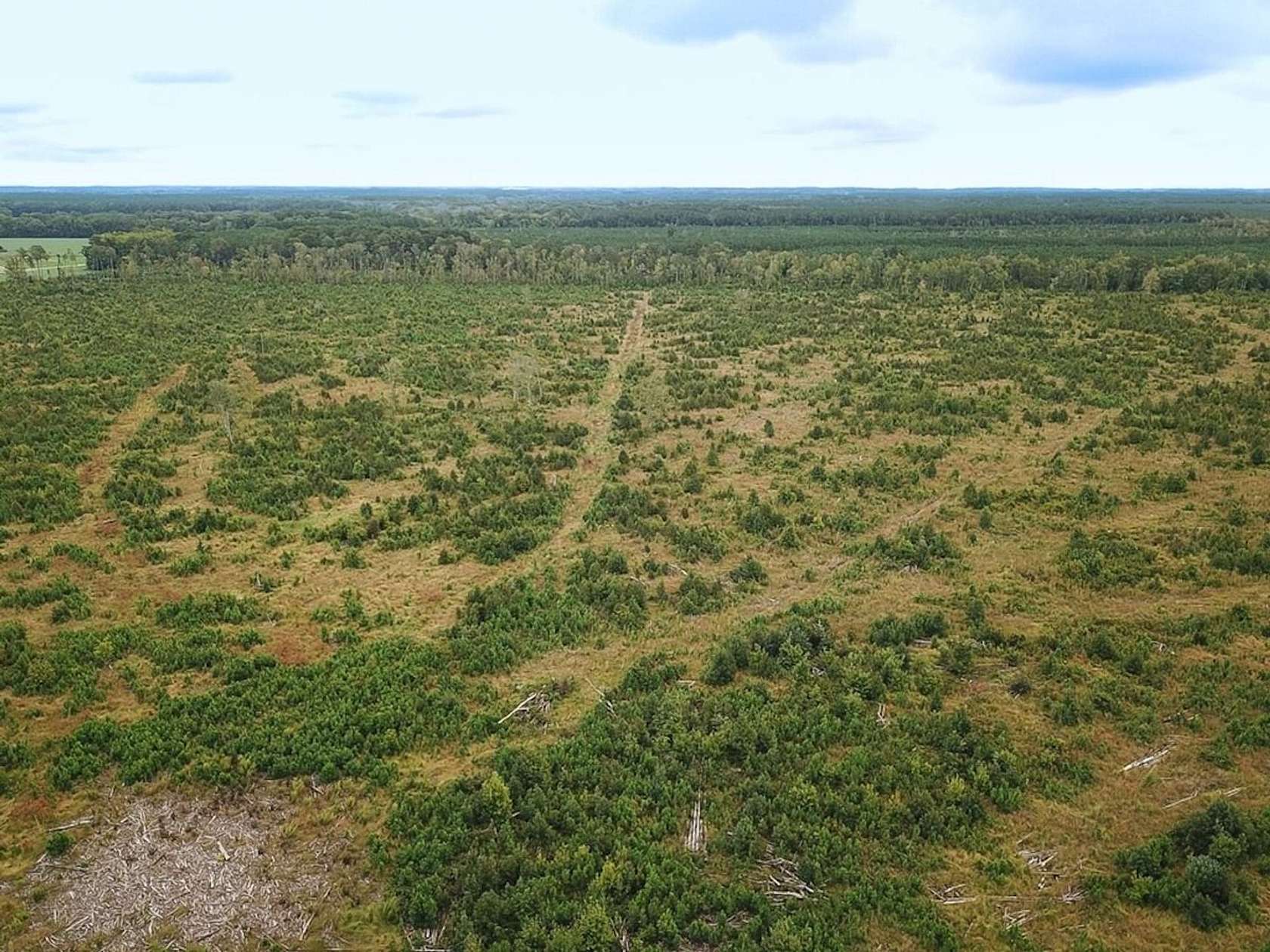 193 Acres of Recreational Land for Sale in Temperanceville, Virginia