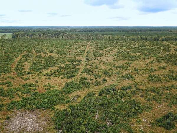 193 Acres of Recreational Land for Sale in Temperanceville, Virginia