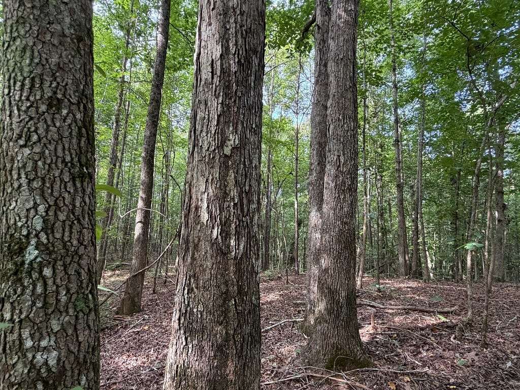 96 Acres of Recreational Land for Sale in Sylacauga, Alabama