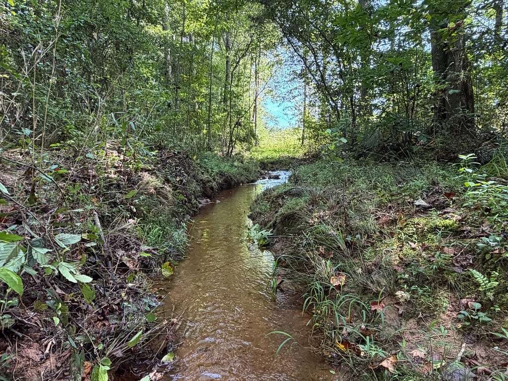 124 Acres of Recreational & Residential Land for Sale in Ashland, Alabama