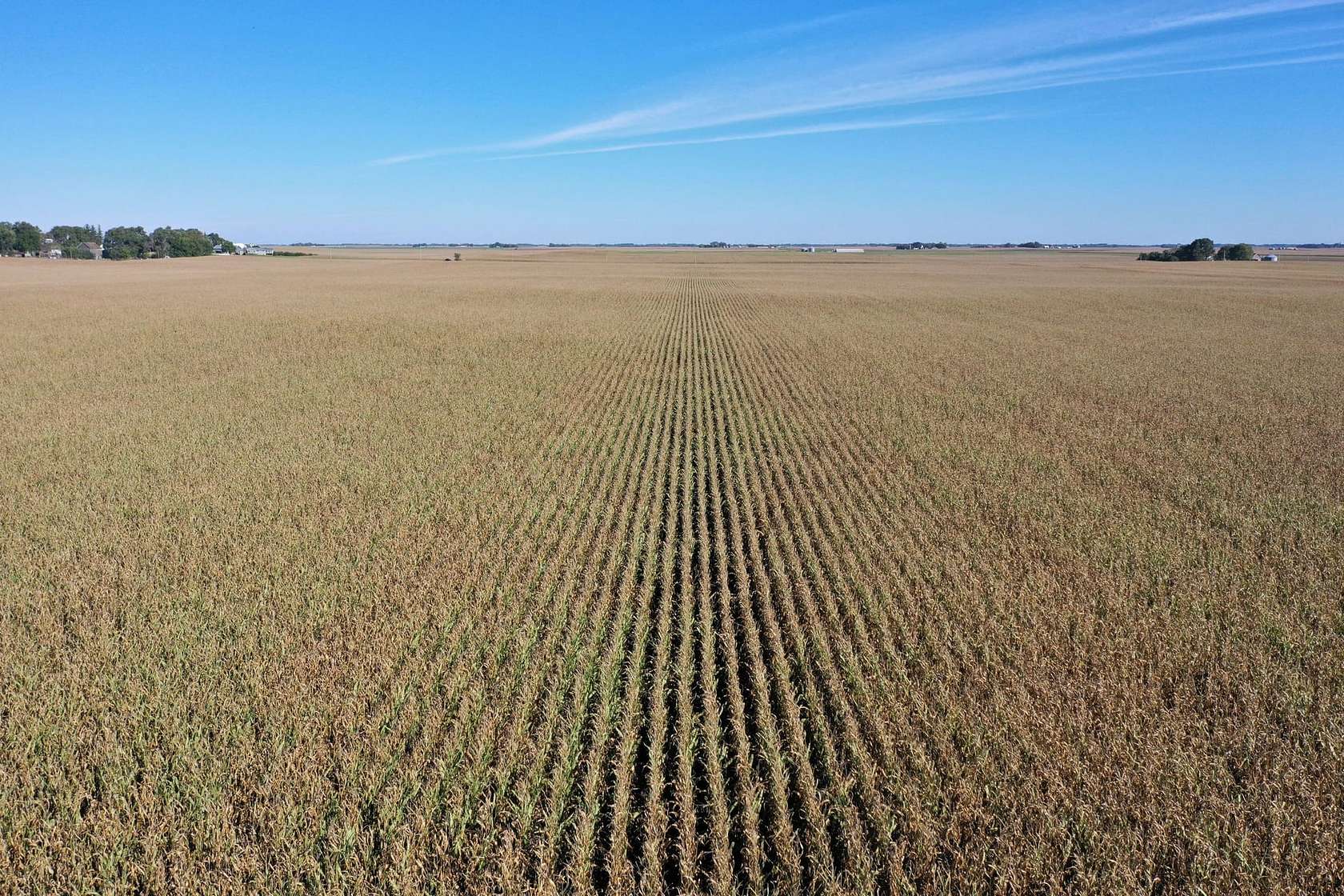 160 Acres of Land for Auction in Mallard, Iowa