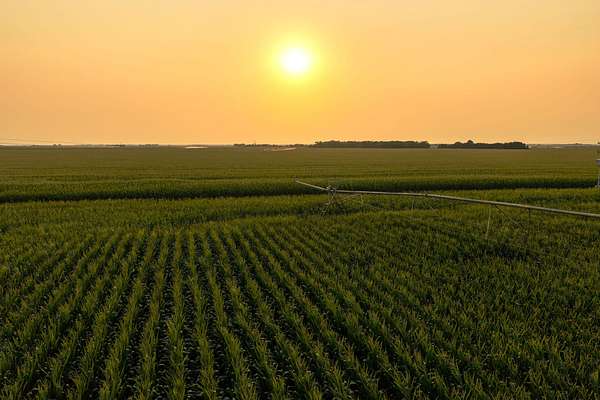 1,299 Acres of Land for Auction in Grand Island, Nebraska