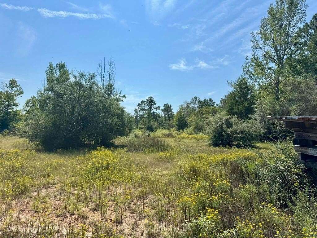 11 Acres of Recreational & Residential Land for Sale in Spurger, Texas