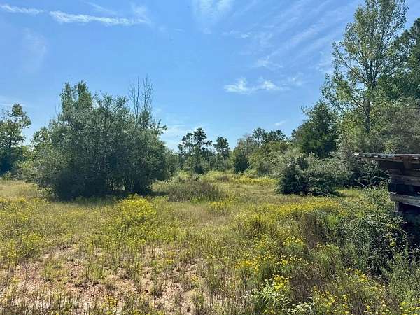 11 Acres of Recreational & Residential Land for Sale in Spurger, Texas