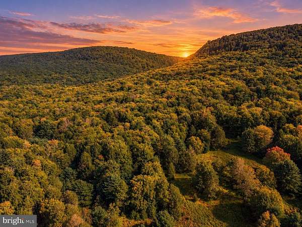 59 Acres of Recreational Land for Auction in Woodward, Pennsylvania