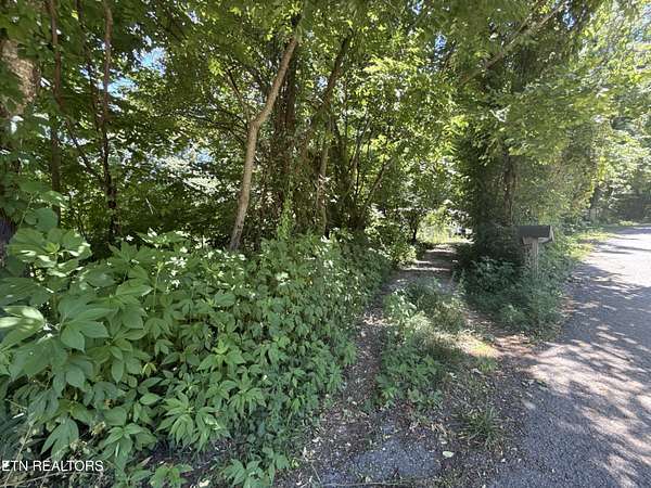 0.46 Acres of Residential Land for Sale in Caryville, Tennessee
