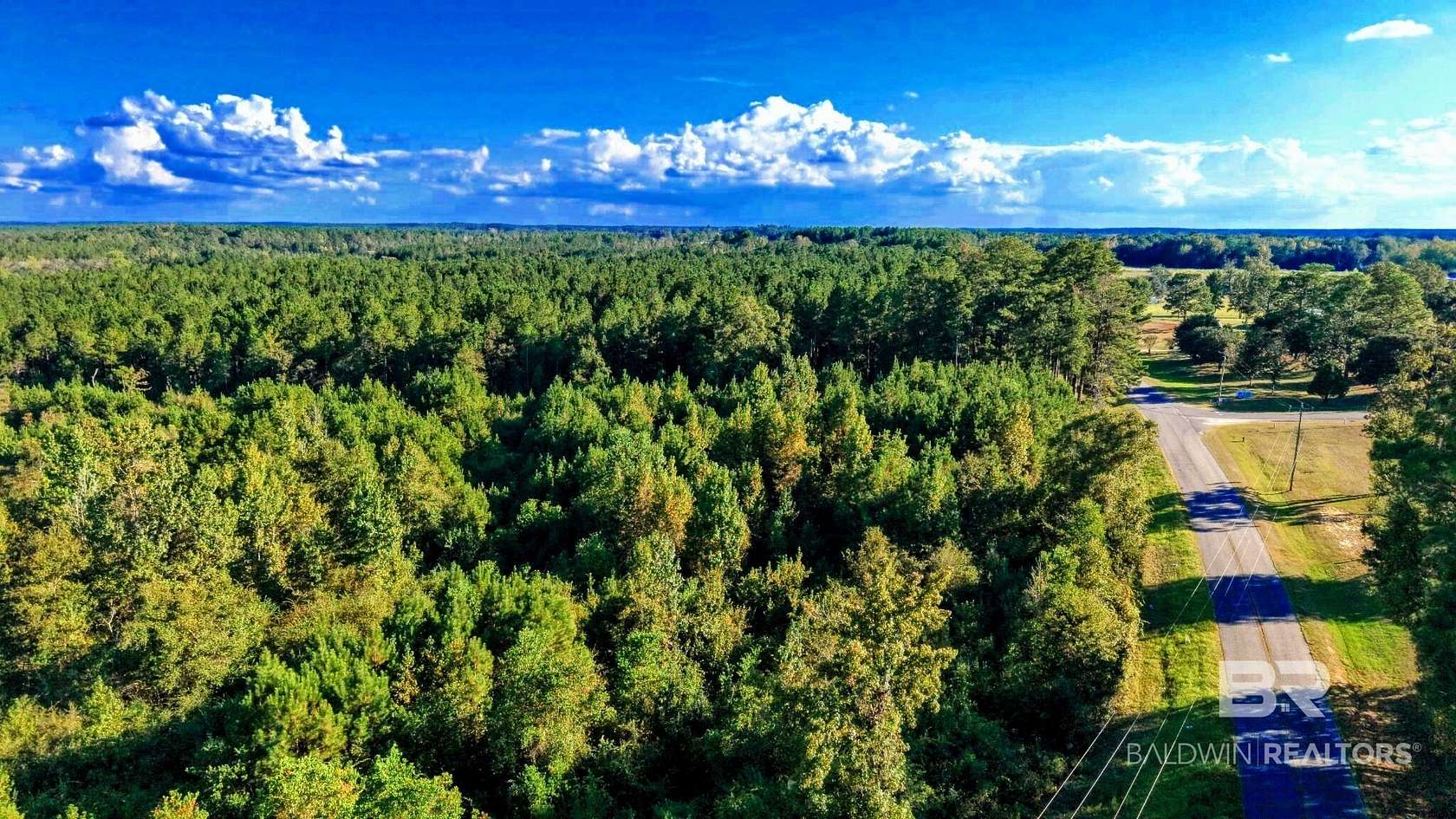 54 Acres of Recreational & Residential Land for Sale in Millry, Alabama