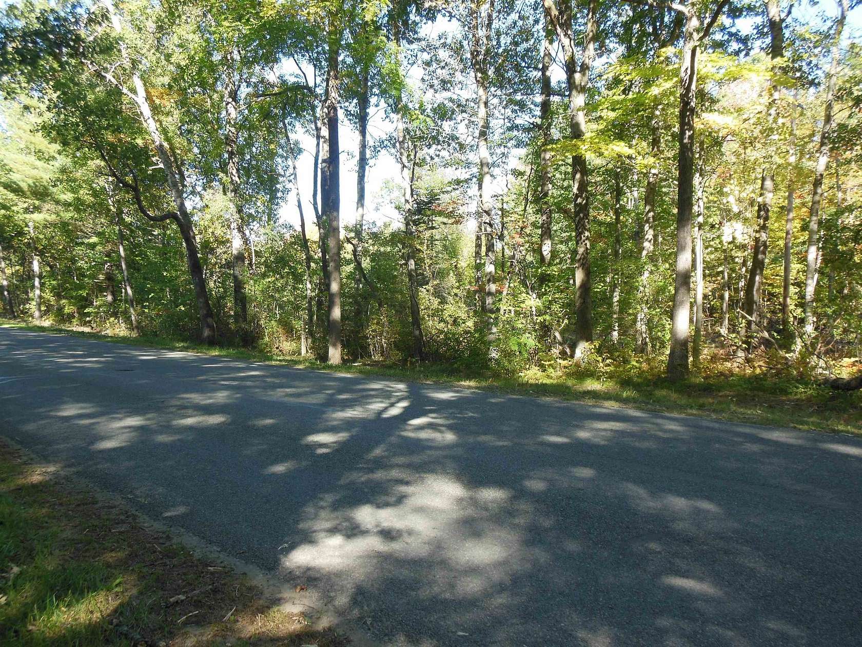 20 Acres of Recreational & Residential Land for Sale in Harrison, Michigan