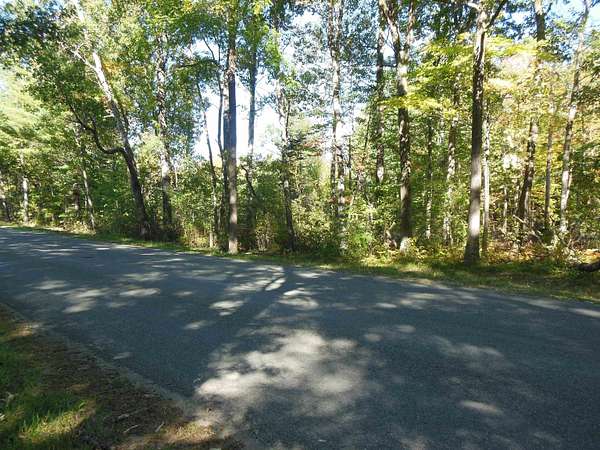 20 Acres of Recreational & Residential Land for Sale in Harrison, Michigan