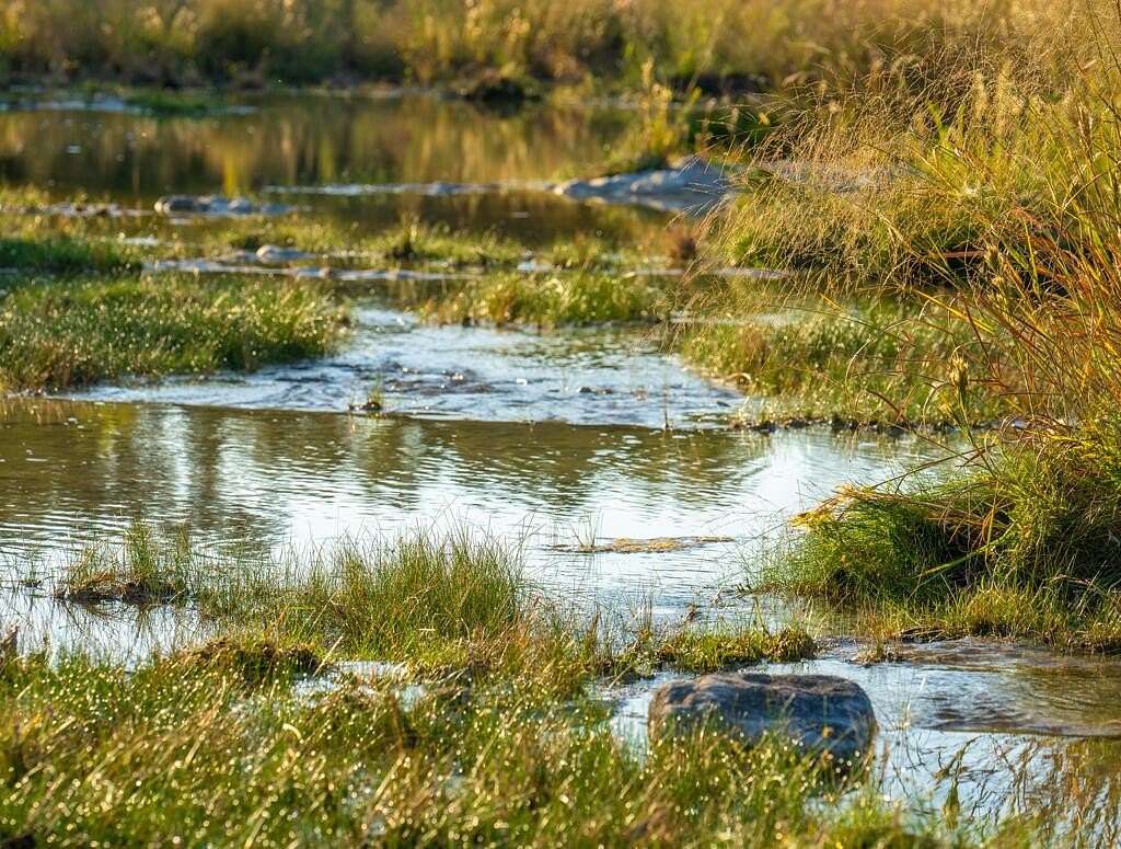 172 Acres of Recreational & Residential Land for Sale in Fredericksburg, Texas