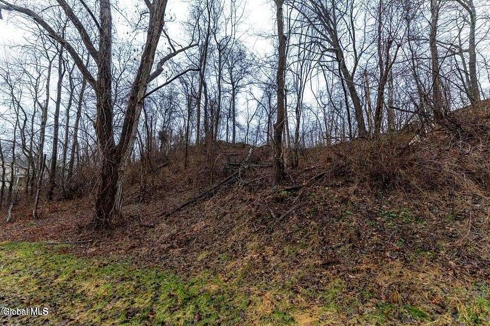 0.28 Acres of Land for Sale in Albany, New York