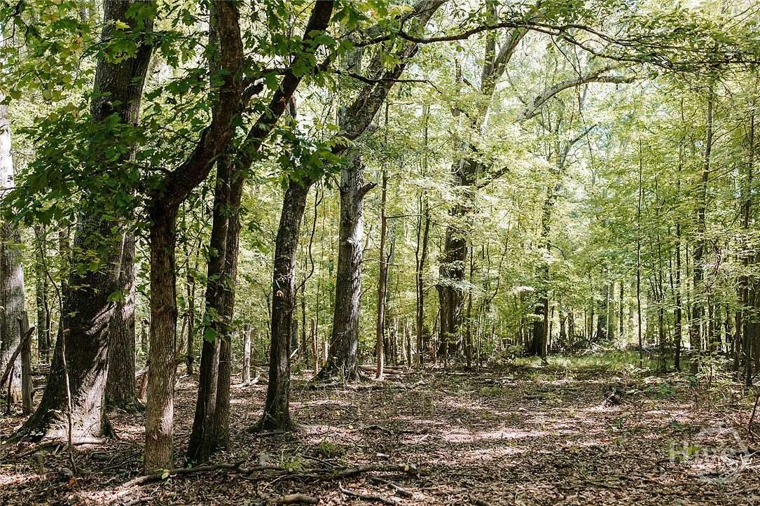 15.2 Acres of Recreational Land for Sale in Washington, Georgia