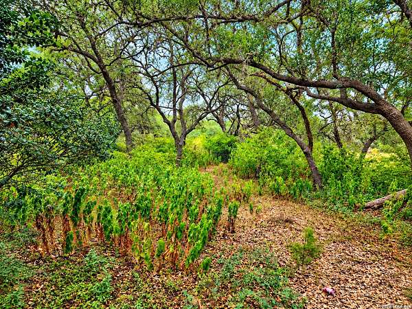 1.9 Acres of Land for Sale in San Antonio, Texas