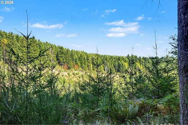 5.88 Acres of Residential Land for Sale in Silverton, Oregon