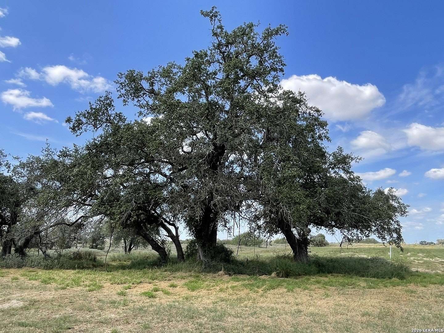 2.5 Acres of Residential Land for Sale in Floresville, Texas