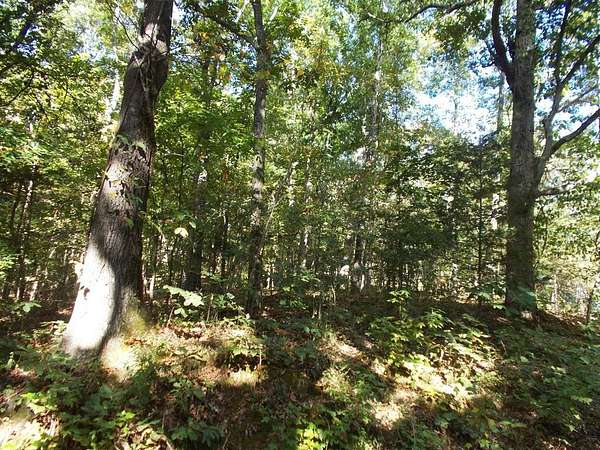 1.33 Acres of Residential Land for Sale in Camden, Tennessee