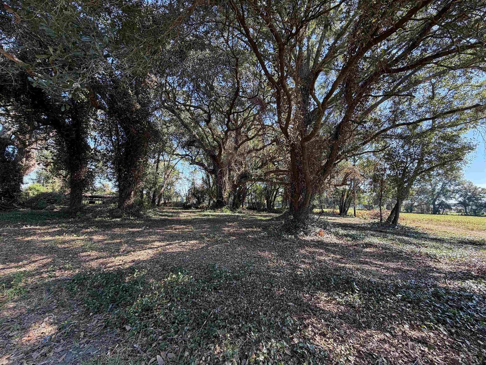 5 Acres of Residential Land for Sale in Kingstree, South Carolina