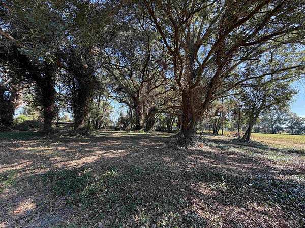 5 Acres of Residential Land for Sale in Kingstree, South Carolina