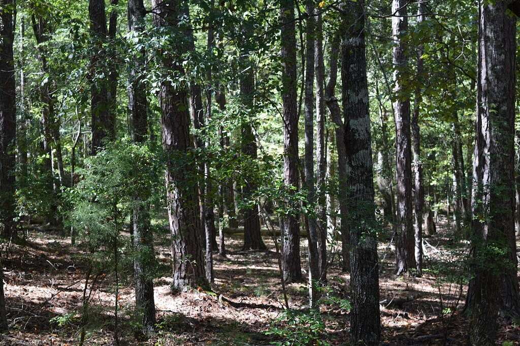 2.6 Acres of Residential Land for Sale in Pine Mountain, Georgia