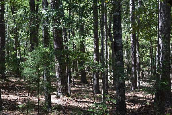 2.6 Acres of Residential Land for Sale in Pine Mountain, Georgia
