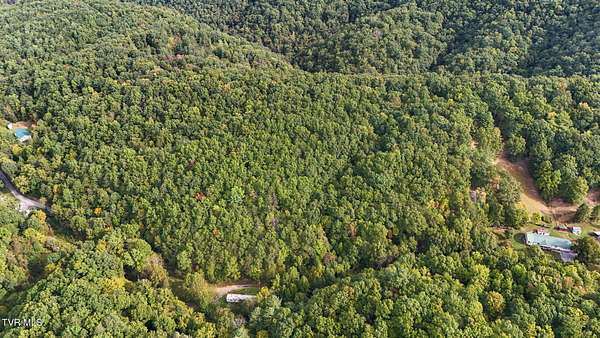 12 Acres of Land for Sale in Bluff City, Tennessee