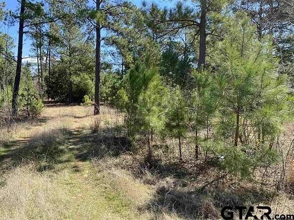 12.5 Acres of Recreational & Residential Land for Sale in Jacksonville, Texas