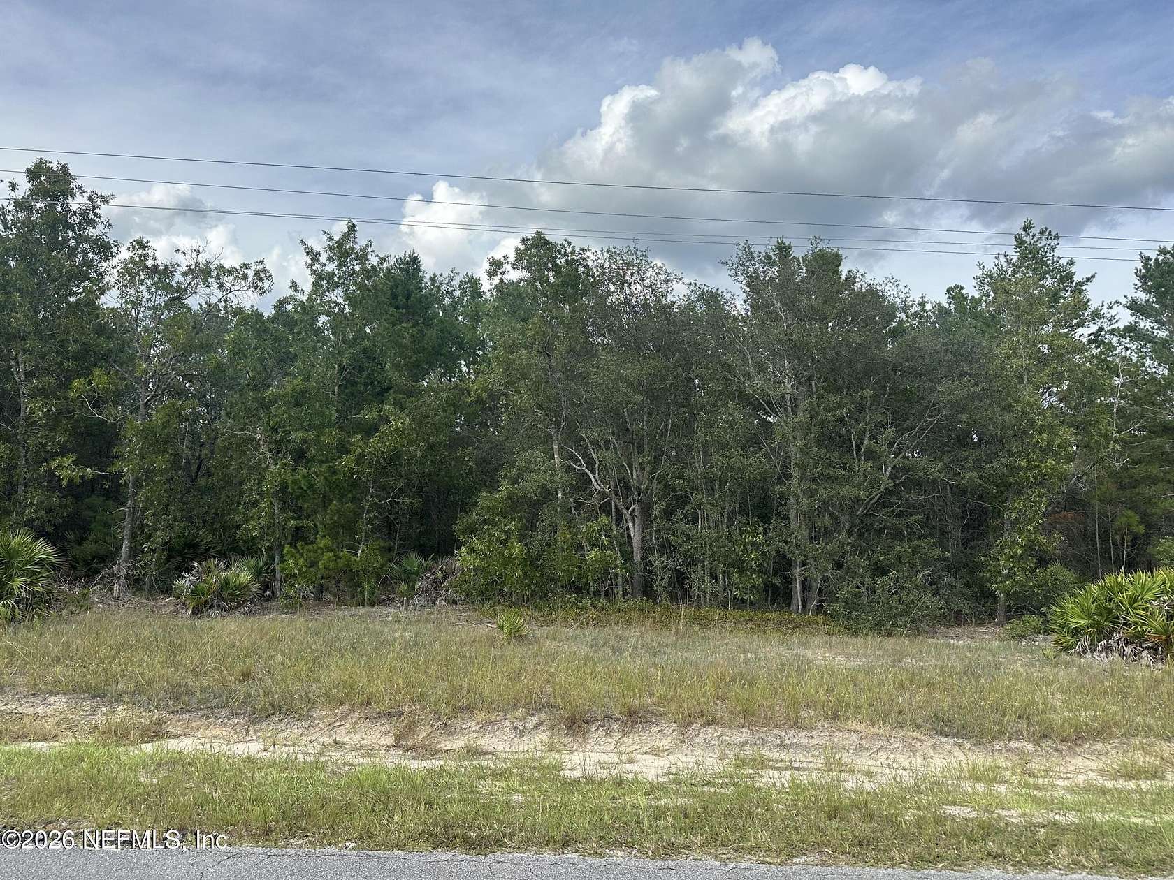 10 Acres of Land for Sale in Florahome, Florida