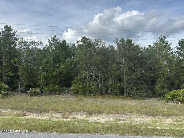 10 Acres of Land for Sale in Florahome, Florida