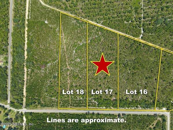 10 Acres of Land for Sale in Florahome, Florida