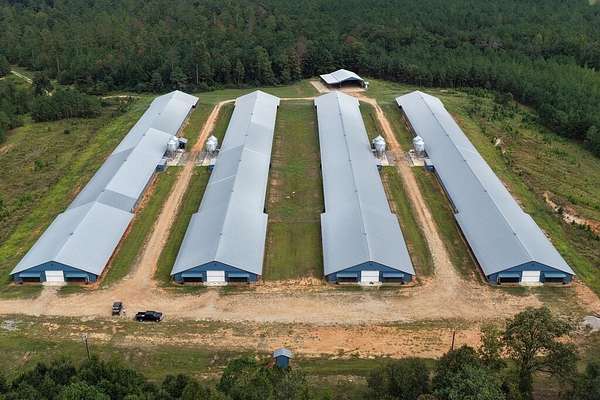 40 Acres of Land for Sale in Eufaula, Alabama