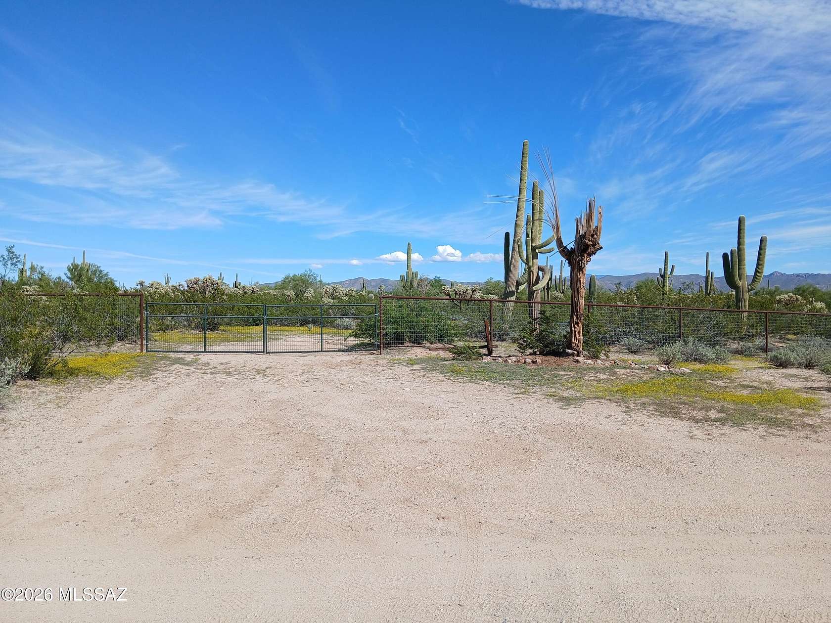 3.3 Acres of Residential Land for Sale in Marana, Arizona