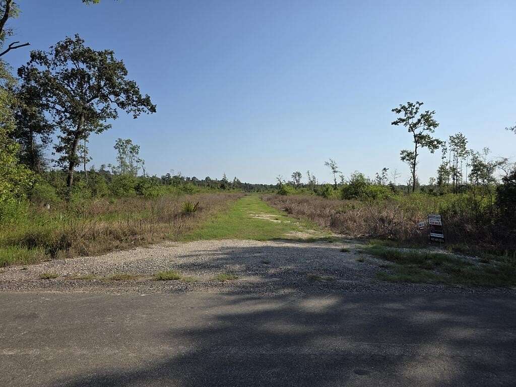30.2 Acres of Land for Sale in Sour Lake, Texas