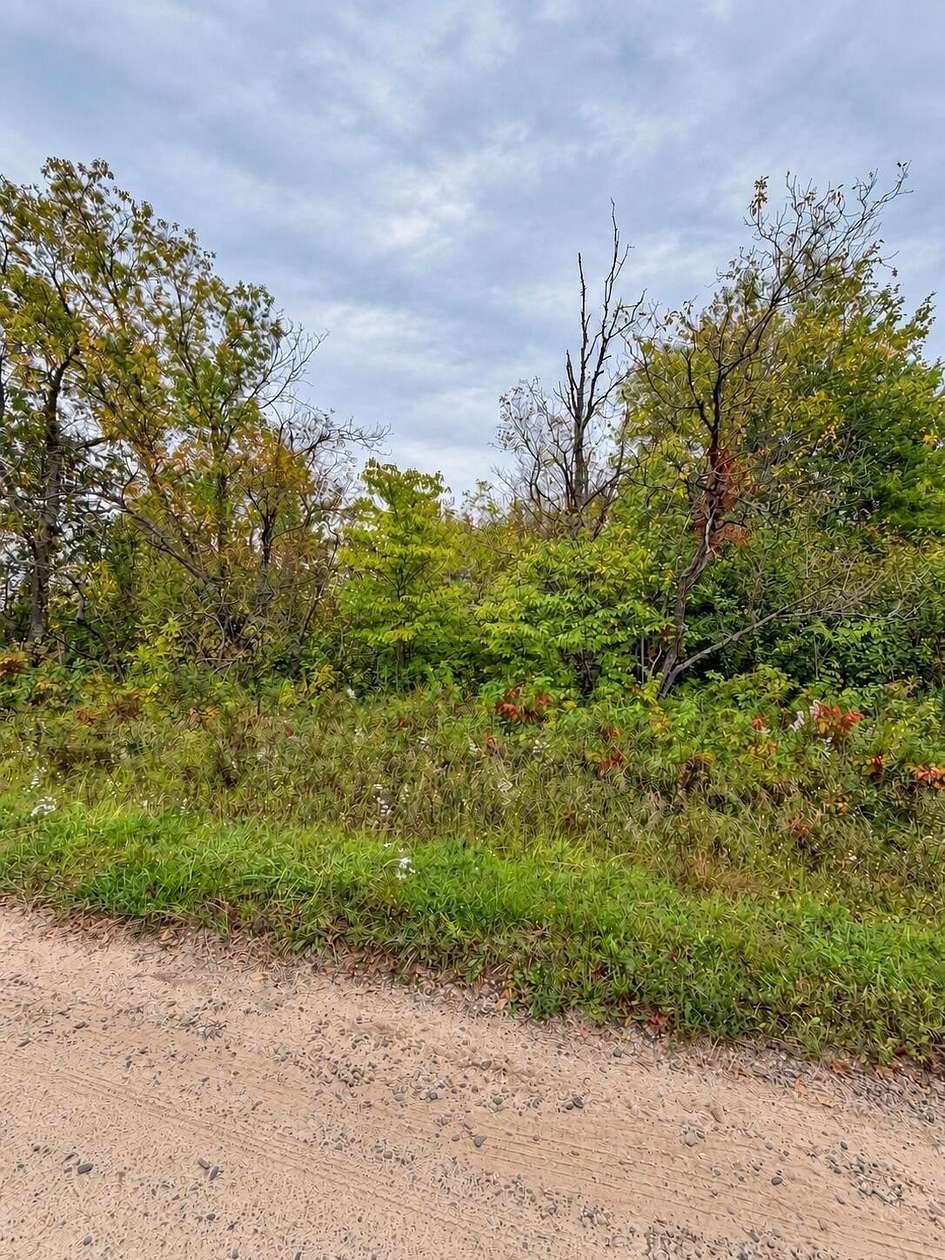 0.69 Acres of Residential Land for Sale in St. Helen, Michigan