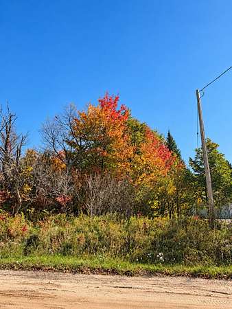 0.69 Acres of Residential Land for Sale in St. Helen, Michigan
